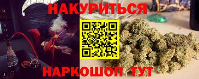сатива Бузулук