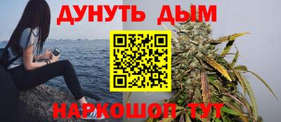 сатива Бузулук