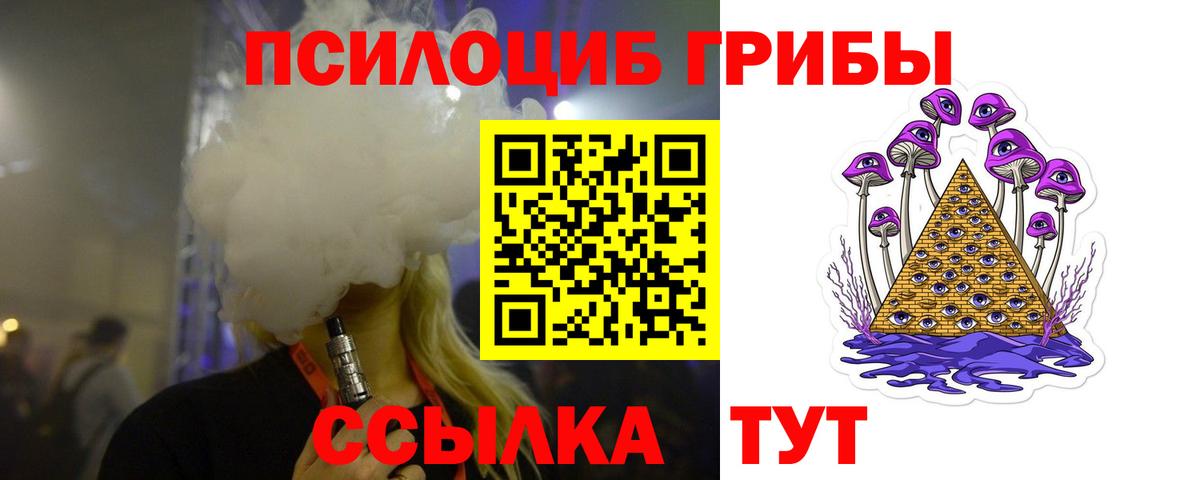 Мценск  Галлюциногенные грибы Psilocybe  Вход с VPN 